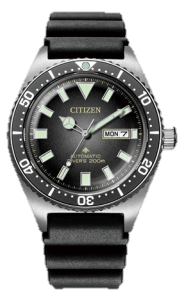Promaster Diver NY012 | CITIZEN WATCH